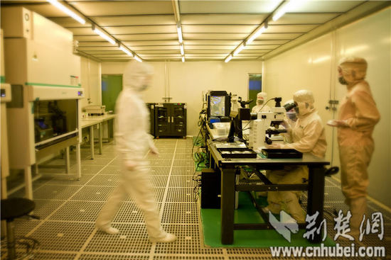 ballbet������(�й�)����ɭ����