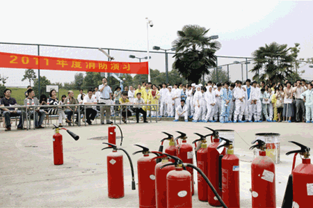 ballbet������(�й�)����ɭ����